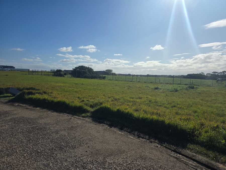 0 Bedroom Property for Sale in Boesmansriviermond Eastern Cape